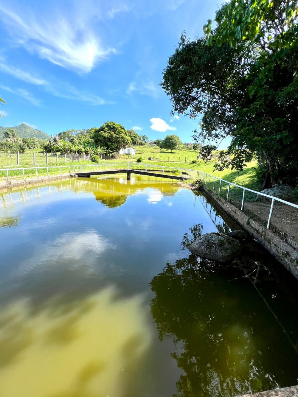 Fazenda - Venda - Km 37 - Pescaria Brava - SC